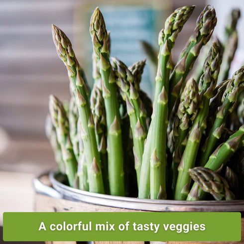 Packets Sow Right Seeds - Perennial Vegetable Seed Collection for Planting - Artichoke, Rhubarb, and Asparagus - Tasty