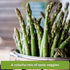 Packets Sow Right Seeds - Perennial Vegetable Seed Collection for Planting - Artichoke, Rhubarb, and Asparagus - Tasty