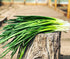 250+ Seeds Bunching Green Onions Scallions Seeds for Planting Perennial Vegetable Garden Spring Onions Non-GMO