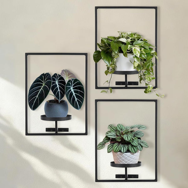 Sisher Plant Stand Indoor Outdoor,Window Plant Shelf Picture Frame Wall Plant Stand