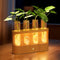 Lightalent Rechargeable Plant Propagation Station with Stepless LED Light, Wooden Stand &