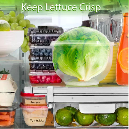 Trenton Gifts Lettuce and Vegetable Storage Keeper - 7" x 8"