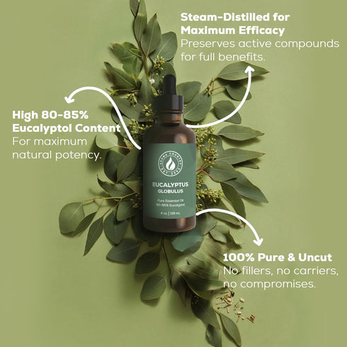 Country 100% (4 oz) Aroma Pure Eucalyptus Essential Oil Organic & Undiluted Diffuser Oil, Humidifier, Steam Room