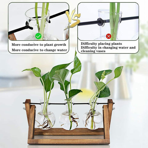 3 Bulb Kingbuy Desktop Glass Planter Iron and Wooden Stand Plant Terrariums for Indoor Office Desk Decor Accessories