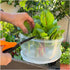 Trenton Gifts Set 2. 7" 8". Lettuce And Vegatable Storage Keeper. of X