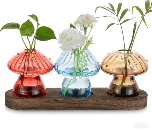 Glass Propagation Station for Plant: Mushroom Planter with Wooden Stand for Home
