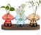 Glass Propagation Station for Plant: Mushroom Planter with Wooden Stand for Home
