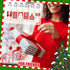 6 Set 16 oz Sieral Coquito Bottles Christmas Swing Top Glass Bottles Flip Top Brewing Bottle for Vanilla Extract