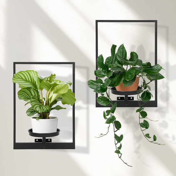 Wall Plant Holder Floating Shelves for Wall Set of 2, Wall Planters