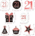 Blulu 21st Birthday Party Decorations, 21st Birthday Banners Rose Gold Hanging Swirls for Party Supplies 30 Count