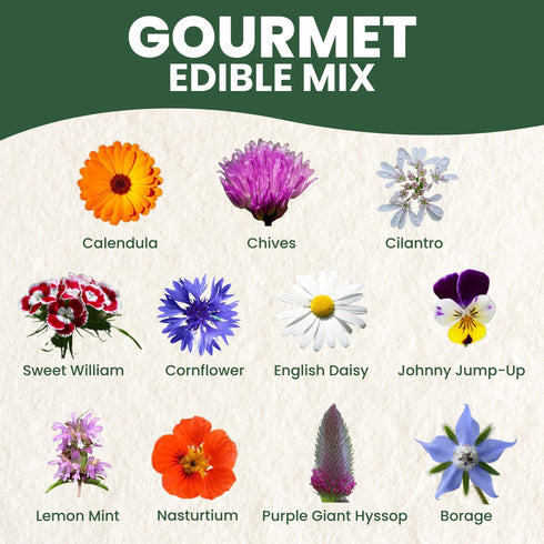 5,000 2026 1 Gourmet Edible Mix Premium Seeds for Planting Fresh Culinary Flowers & Herbs Season Ounce Pouch