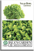 Salad Bowl Lettuce Seeds (Lactuca Sativa) 1000+ Non-GMO Heirloom Seeds by Islas