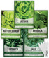 Gardeners Basics Lettuce and Greens Heirloom Vegetable Seed Non-GMO Seeds for Planting