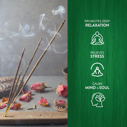 Hem Cannabis Incense Sticks - 120 Sticks, 6 Boxes, 9 Inches Long, 20g per Box - Perfect for Meditation