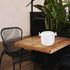 CALLARON 4 Cup Microwave Rice Cooker, Steamer Bowl, Rice Paddle, Pasta Cooker, Bento Box Cookware for Soup
