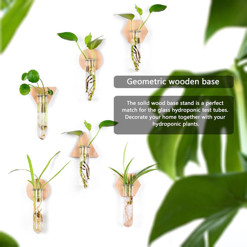 6-Pack Geometric Glass Plant Propagation Station with Wooden Stand