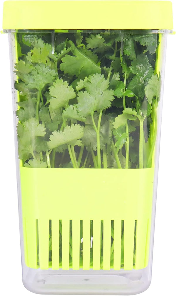 Herb Keeper 1Pcs, BPA-Free Plastic Herb Saver with Inner Basket for Cilantro, Mint, Parsley, Asparagus, Keeps Fresh