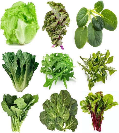 Sunutri Seeds Greens Seeds Collection, 2500+ Seeds, 9 Heirloom Varieties, Arugula, Beet, Upland Cress,