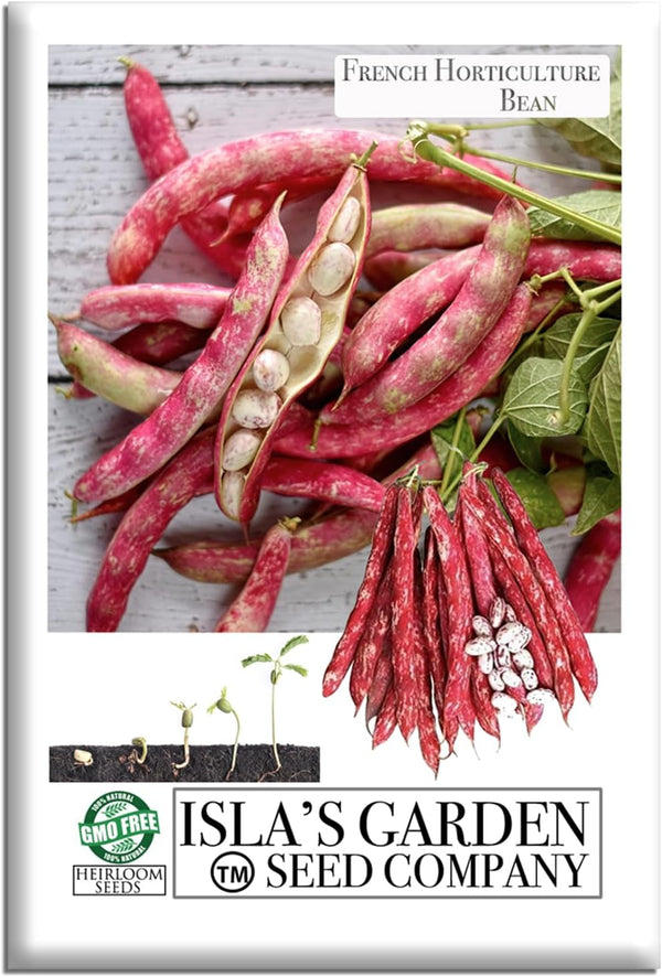 French Horticulture Bean Seeds (Phaseolus vulgaris) 50+ Non-GMO Heirloom Seeds by Islas