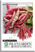 French Horticulture Bean Seeds (Phaseolus vulgaris) 50+ Non-GMO Heirloom Seeds by Islas
