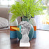 JTZXJJX 6.3 Inch Ice Cream David Head Resin Sculpture Statue for Living Room, Office, Bookshelf, Coffee Table