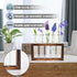 Tigvio 5 (5 Desktop Glass Plant Propagation Station with Test Tubes in Wooden Stand - Hydroponic Plants Cutting Office