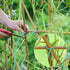 YDSL Soft Plant Tie, Heavy Duty Reusable Garden Wire Tie for Plants, 32.8 Feet (Green)