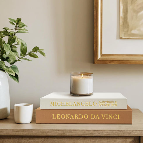 Jerriecori Set 2 Decorative Books for Home Decor - Renaissance Coffee Table Books - of Linen Fake Books Storage Box