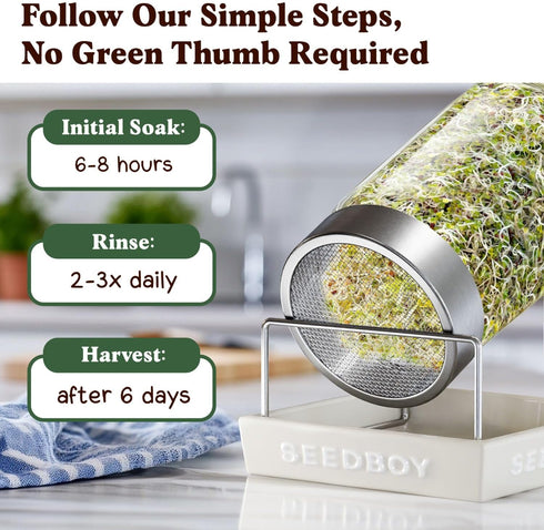 8 oz 8 32 Seedboy Organic Non-GMO Broccoli Seeds for Sprouting - USA Grown Microgreens Sprouting Seeds - Bag Makes