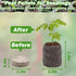 ZeeDix 30mm 50Pcs Compressed Peat Pellet Fiber Soil Plant Seed Starters - Nursery Plugs Pallet Seedling Soil Block for Grow Herbs Plant Flowers Vegetables(with Box)