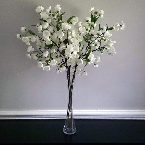 WGV Maria Bud Vase, 2" Width, 10" Height, Clear Slant Cut Opening Glass Floral Container for Decor