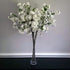 WGV Maria Bud Vase, 2" Width, 10" Height, Clear Slant Cut Opening Glass Floral Container for Decor