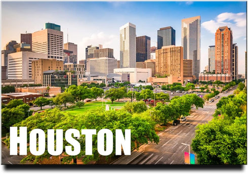 Houston Fridge Magnet, Texas Travel Souvenir