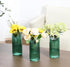 Set 3, 8 Inches Green Glass Vases, Flower Vases of Ribbed Glass Vase for Tulips, Tall Cylinder Glass Vases for Living