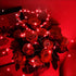 6 Pack 7 20 LAMPHOME Red Valentine's Fairy Lights Battery Operated (Included), ft LED Mini String Lights, Waterproof