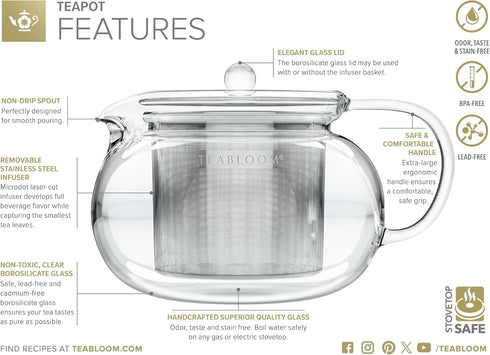 Teabloom Kyoto 2-in-1 Tea Kettle/Tea Maker, Heatproof Glass Teapot with Removable Loose Tea Filter for Connoisseurs