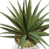 TUOKORGREEN Small Artificial Plants in Ceramic Pots, Faux Greenery Set of 2, 3.5" x 6.7"