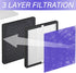 R1 HEPA Filter Replacement for YIOU R1 P1802 and Elechomes P1801, Deep Purple, 2 Pack