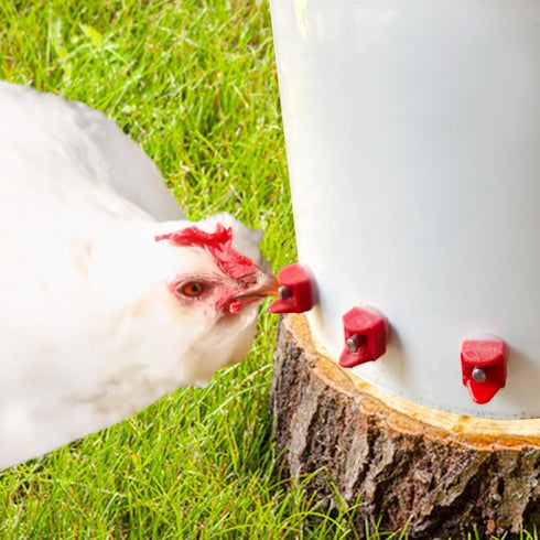 Bit(20) Horizontal Chicken Water Nipples Automatic Poultry Waterer Nipples Kit Drinker with Drill