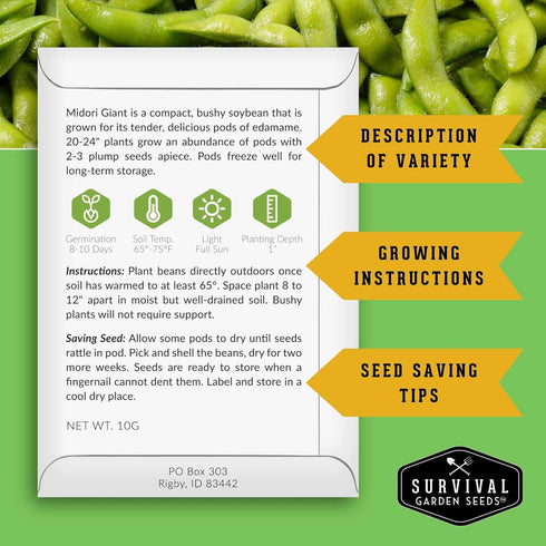 (5 Packs) Midori Giant Soybean Seeds for Planting - Grow Protein-Rich Edamame Pods in Your Home Vegetable Garden