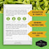 (3 Packs) Midori Giant Soybean Seeds for Planting - Grow Protein-Rich Edamame Pods in Your Home Vegetable Garden