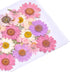160 Pcs Dried Pressed Flowers, Real Pressed Flowers Dry Leaves Bulk Natural Herbs Kit for Scrapbooking, DIY Art Crafts
