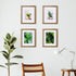 8x10 4x6/5x7 8x10 Set 4 Egofine Picture Frames with Plexiglass, Display Pictures with Mat or Without Mat