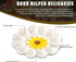 YU&CH Ceramic Sunflower Deviled Egg Tray - White Egg Platter For Party