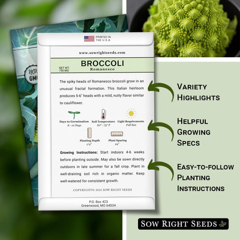 Packet (2) Sow Right Seeds - Romanesco Broccoli Seeds for Planting - Non-GMO Heirloom with Instructions to Plant an