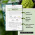 Packet (2) Sow Right Seeds - Romanesco Broccoli Seeds for Planting - Non-GMO Heirloom with Instructions to Plant an