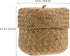 Housoutil Small Handwoven Seagrass Woven Basket with Lid, Natural Storage Box for Flower Pot, Garbage Can, Desktop