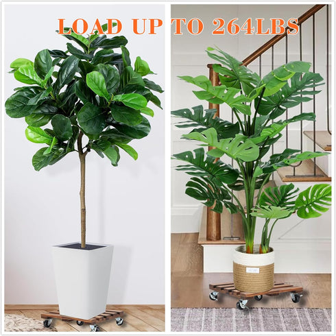 PRAQECZ 2 Pack 14" 12" 264 LBS 360 Plant Caddy with Wheels, + Rolling Plant Stand Heavy Duty Wooden Square Plant Dolly