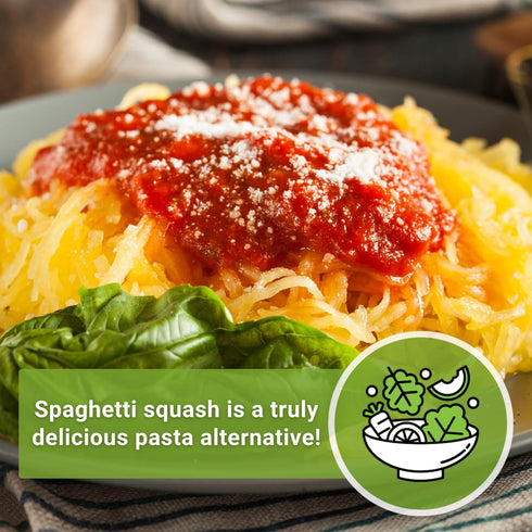 Packet (3) Sow Right Seeds - Spaghetti Squash Seeds for Planting - Non-GMO Heirloom with Instructions to Plant and Grow