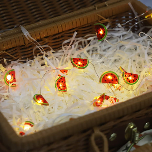 20 LED Watermelon Copper String Lights, Battery Operated Fairy Lights for Christmas,